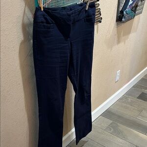 The Limited Dark Blue Straight Leg Women's Pants